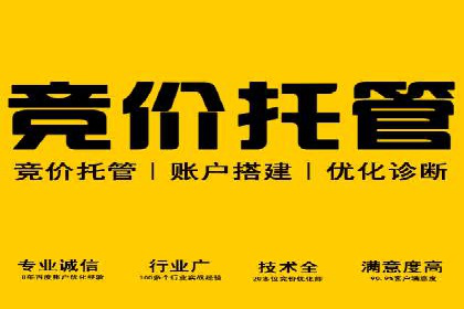 充值返点案例研究：市场趋势与策略分析